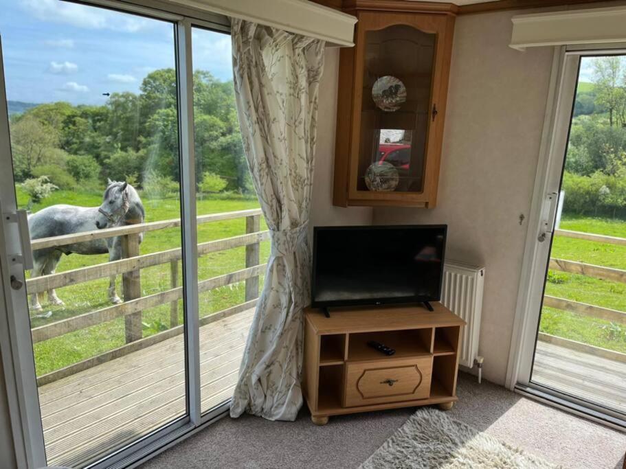 Farm Stay Caravan On Working Farm Dacre  Εξωτερικό φωτογραφία